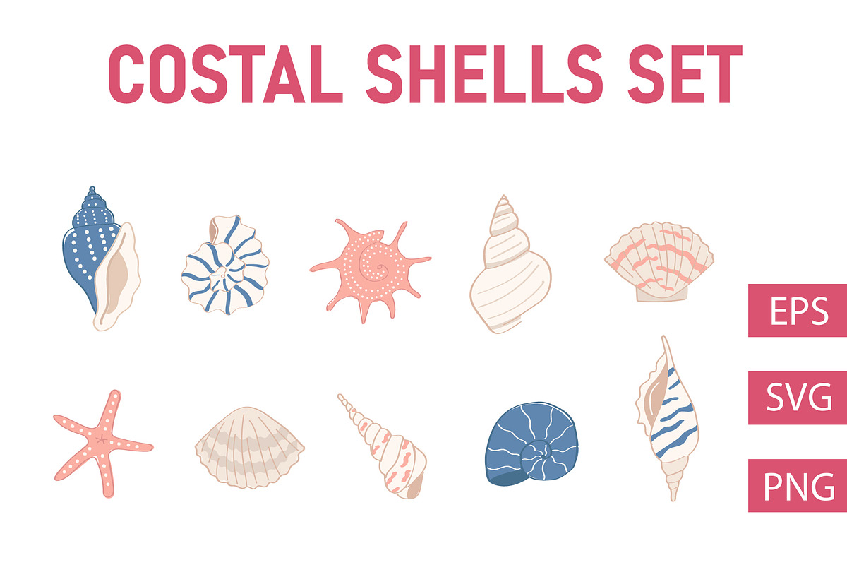 Coastal Shells Illustration Set, an Illustration by Milota (Photo 1 of 3)