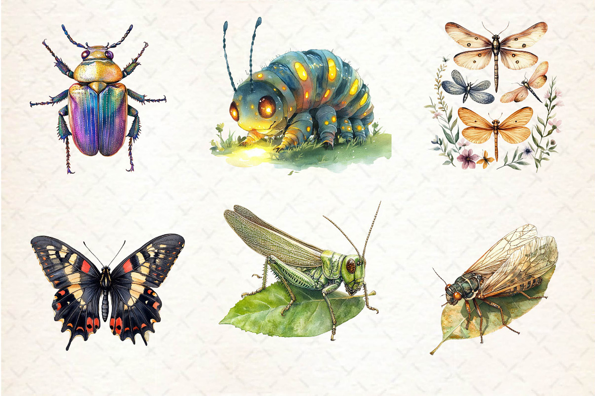 Vintage Spring Insect Clipart, an Illustration by Dream Creation (Photo 2 of 6)