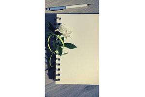 Spiral notebook with blank pages, a Photo by tilialucida