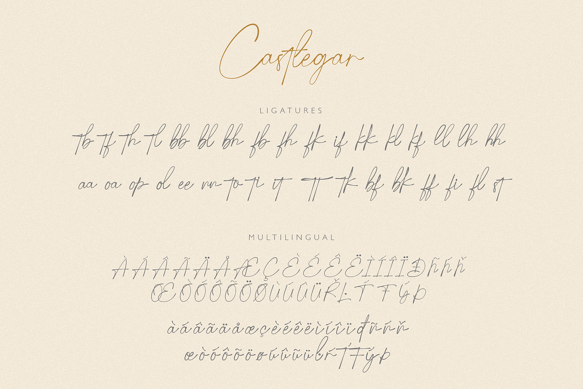 Castlegar Script, a Script Font by FactoryType Studio (Photo 10 of 12)