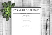 Professional Resume Template Grey, a Resume Template by Resume Template Shoppe (Thumbnail 4 of 4)