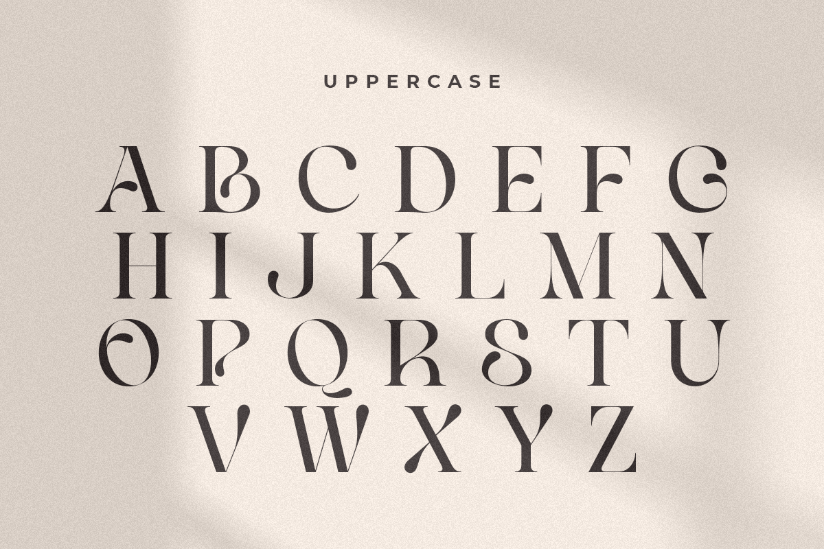 Life Sugar - Unique Serif Font, a Serif Font by Sensatype (Photo 11 of 16)
