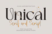 Unical - Modern Luxury Font, a Serif Font by Pixesia Studio (Thumbnail 1 of 12)