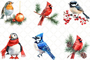 Winter Birds Christmas Clipart, an Illustration by Black Bird Studio (Thumbnail 5 of 6)