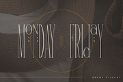 Brume - super long display font, a Serif Font by Only Fonts (Thumbnail 5 of 9)
