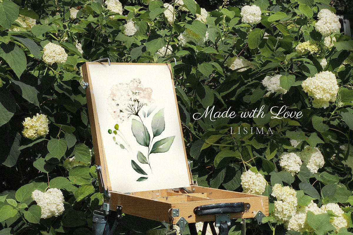 Pink watercolor flowers & herbs, an Illustration by Lisima (Photo 6 of 11)