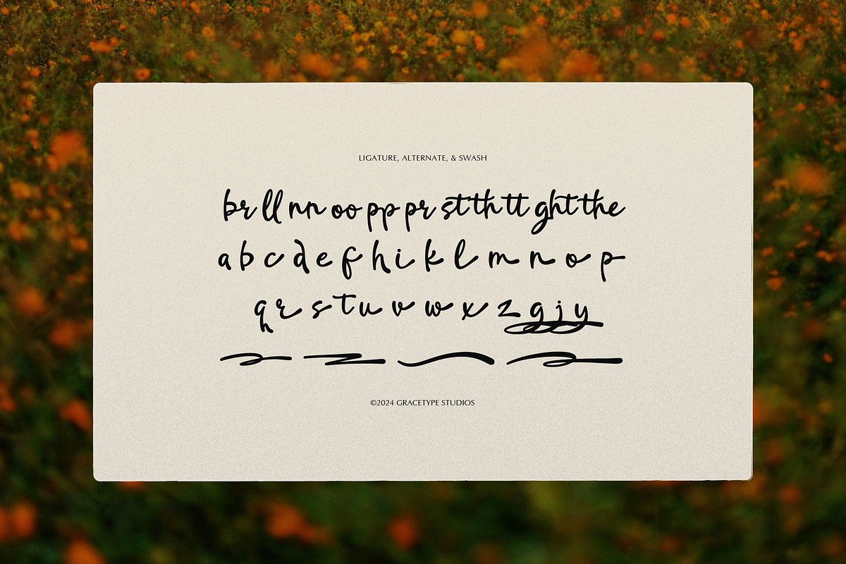 Softmark | Casual Handwritten Font, a Script Font by gracetype_studio (Photo 11 of 12)