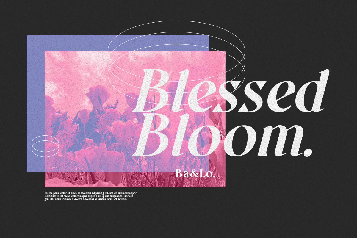 Quatro - A Modern Serif Font, a Sans Serif Font by Letterhend Studio (Photo 2 of 9)