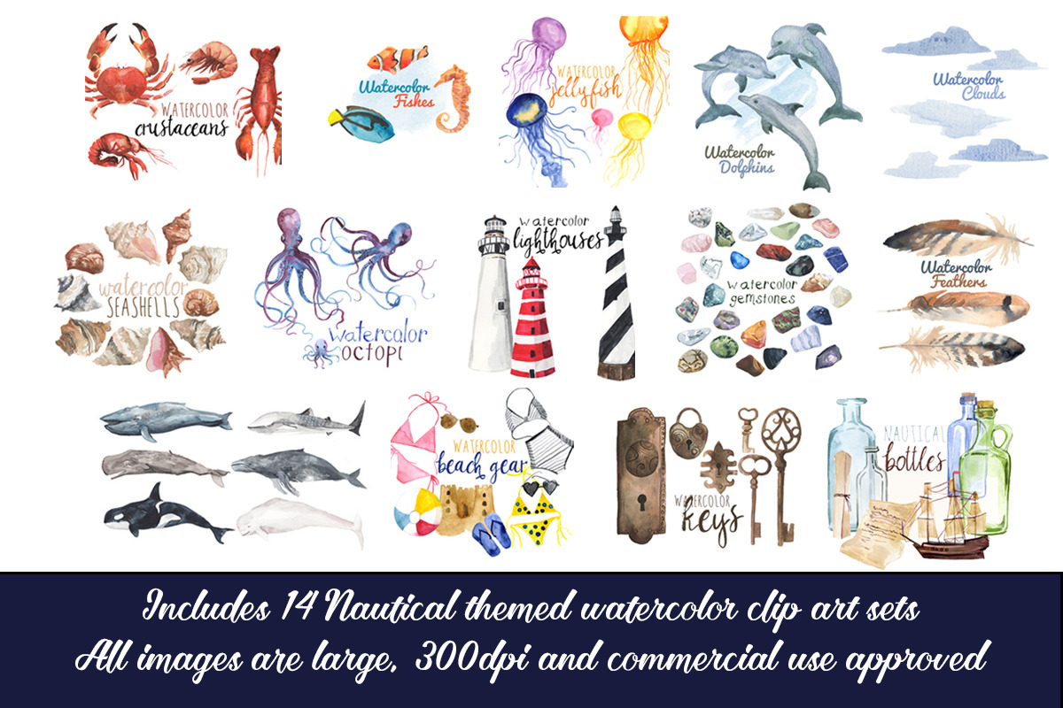 The Giant Nautical Collection, a Food Illustration by Digital Press Creation (Photo 2 of 4)