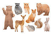 Watercolor Woodland Animals, an Animal Illustration by ArtGiftsStudio (Thumbnail 2 of 5)