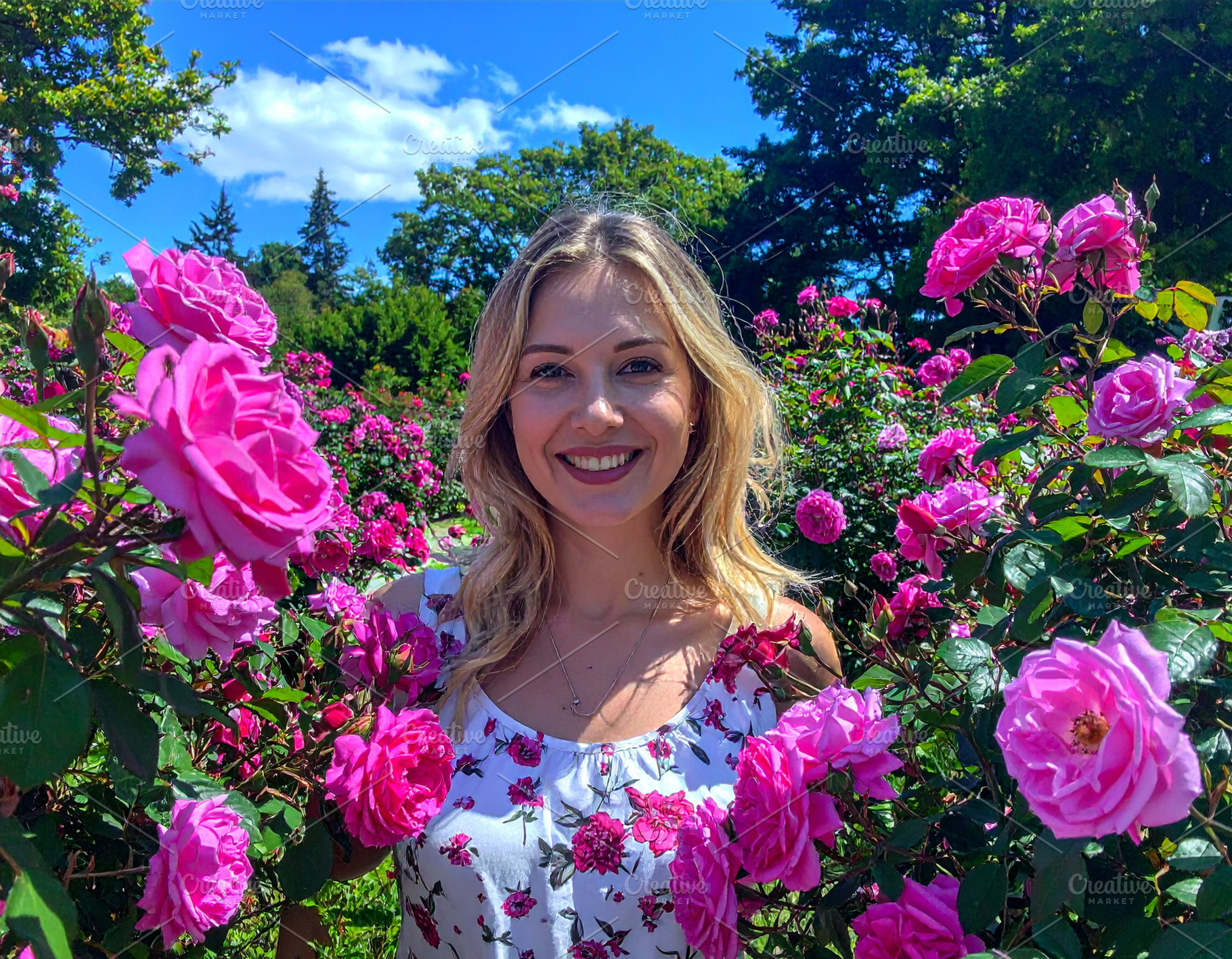 Happy woman standing behind pink rose bushes, a Person Photo by DanFLCreativo