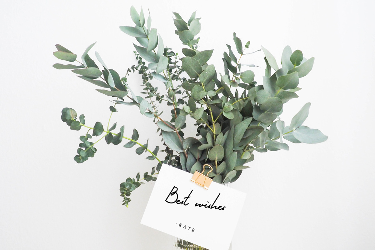 Fern Whisper - classy signature font, a Script Font by CreativeFolks (Photo 18 of 20)