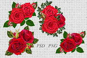 Collection of red roses, an Illustration by SokolovaSv (Thumbnail 4 of 4)