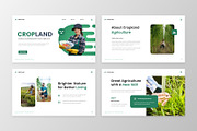 Cropland - Agriculture Keynote, a Presentation Template by MtvtdArt (Thumbnail 2 of 6)