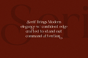 Bela Serfane Elegant Serif Font, a Serif Font by Rasio Studio (Thumbnail 8 of 11)