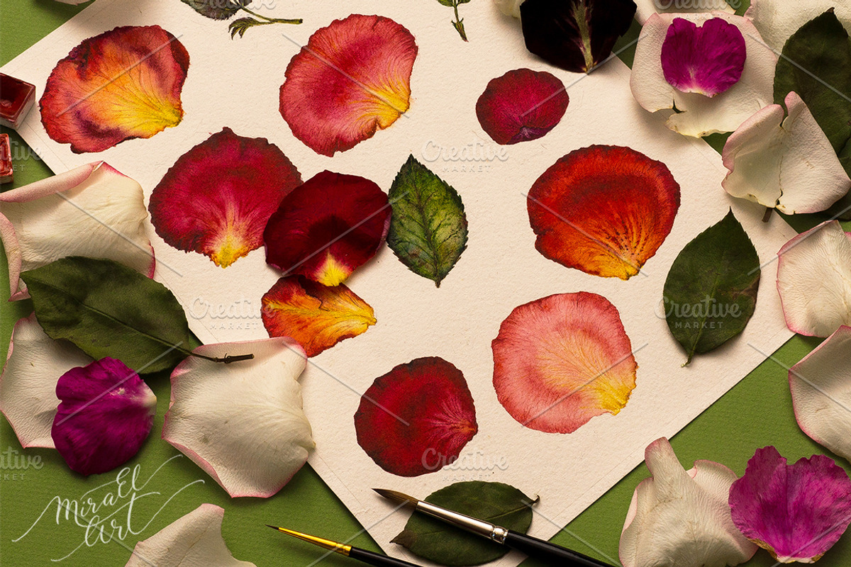 Floral watercolor rose petals, an Illustration by MiraEl Art (Photo 8 of 8)