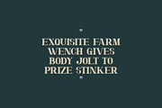 Jhanjian Font, a Serif Font by albert_kalingga (Thumbnail 4 of 5)