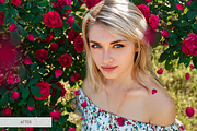 Rose Petals Photoshop Overlays, a Plug-in Add-On by FixThePhoto (Thumbnail 20 of 34)