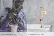 Crumpled: Paper Texture Overlays, a Texture Graphic by Anastasiia VNSK (Thumbnail 15 of 19)