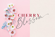 Morning Flower Font Duo, a Script Font by Letter Fresh (Thumbnail 2 of 7)