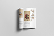 A4 Magazine Mockup, a Books & Magazine Mockup by graphicpages (Thumbnail 6 of 17)