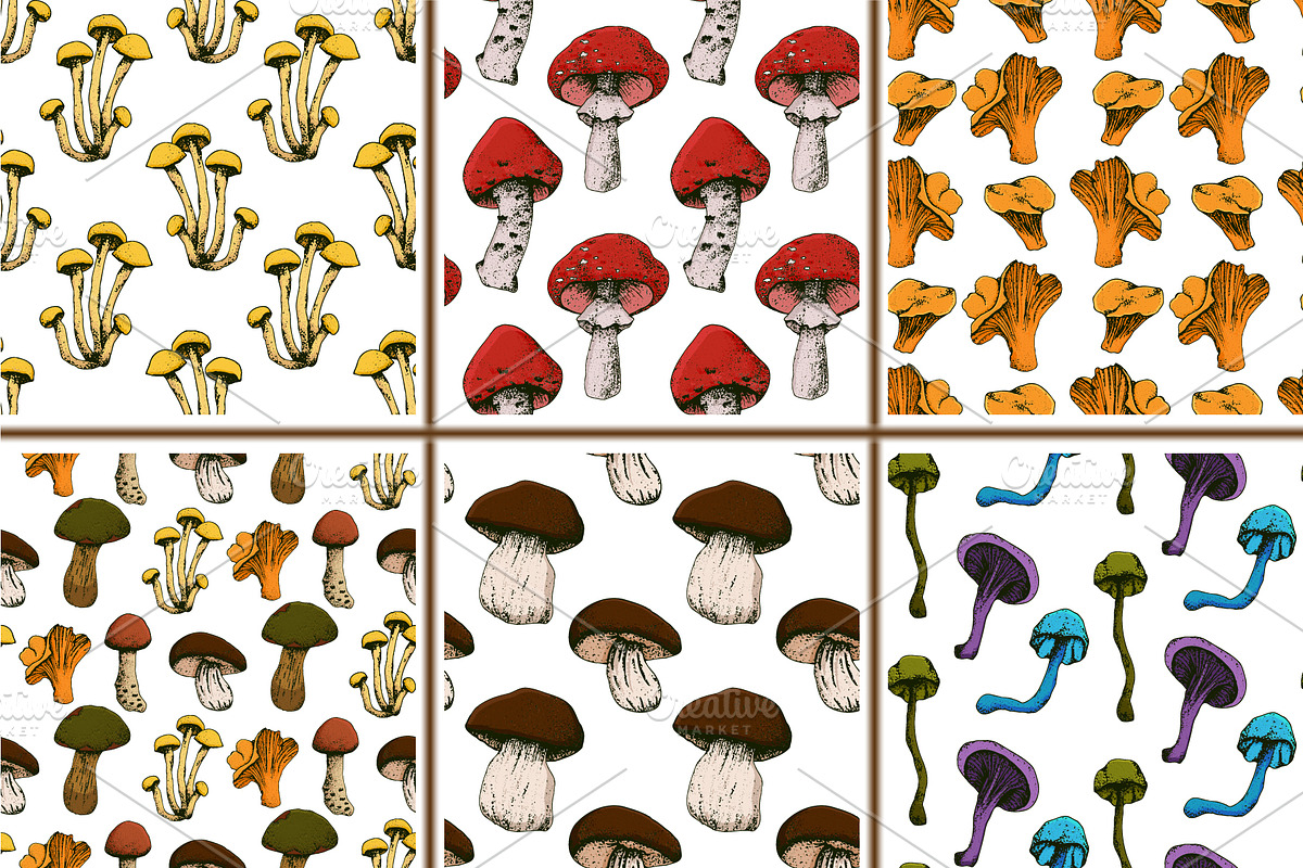 Hand drawn vintage mushrooms, a Food Illustration by Elena Mykhailenko (Photo 5 of 5)