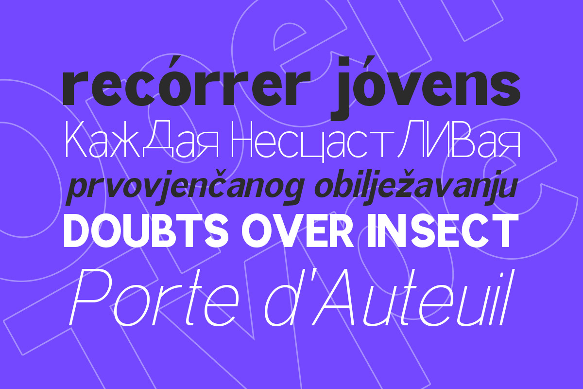 Attractive Variable (18 Fonts), a Serif Font by IM Studio (Photo 7 of 12)