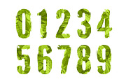 Green Leaves Alphabet [Vector], an Object Graphic by Chuhastock (Thumbnail 2 of 8)