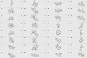Procreate flower stamp, peony brush, a Brush Add-On by AnnaPolitmerskaja (Thumbnail 4 of 5)
