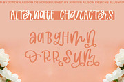 Blushed, Thick Marker Font, a Handwritten Font by Jordyn Alison Designs (Thumbnail 3 of 8)