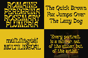Display Font Bundle, a Sans Serif Font by Typoraith Co (Thumbnail 11 of 12)