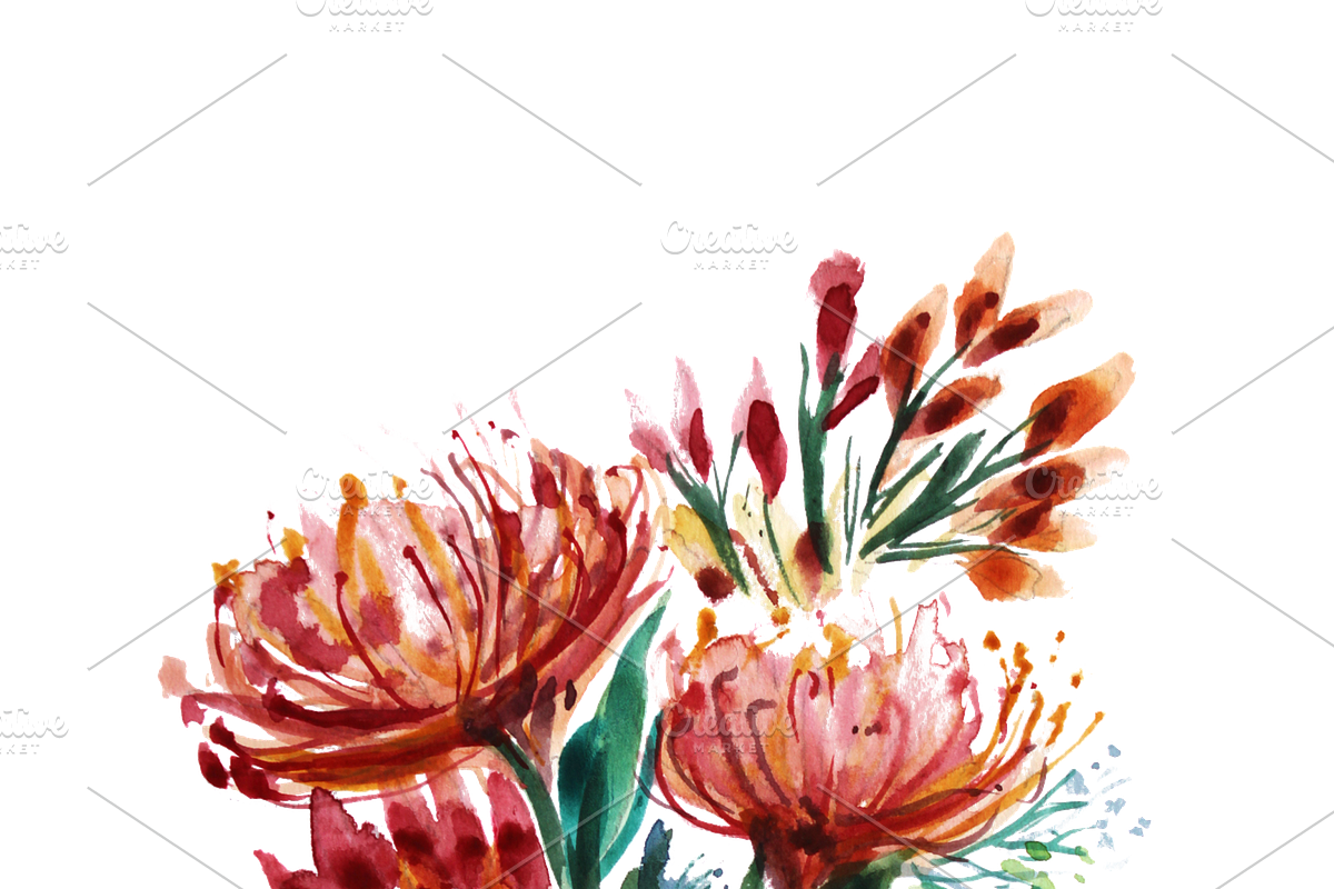 Watercolor Fynbos Flowers, a Decorative Illustration by Karliefie (Photo 5 of 7)