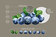 82 Fruits, Berries and Vegetables, an Object Graphic by ConceptCafe (Thumbnail 6 of 6)