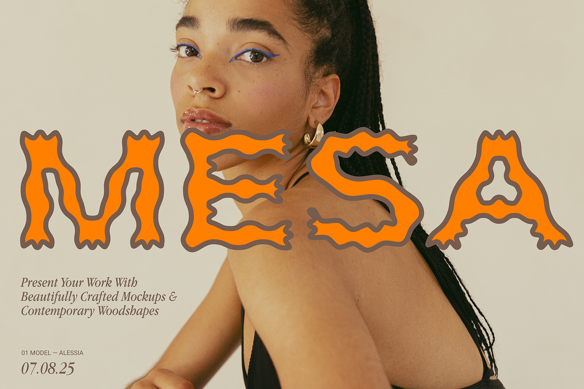 Plateau Font, a Sans Serif Font by Nomad Visuals (Photo 2 of 12)