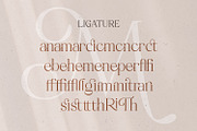 Mitchaella Luxury Unique Serif, a Serif Font by Typetemp Studio (Thumbnail 18 of 19)