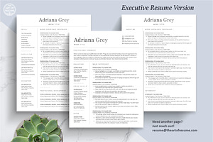 Clean Resume CV Template, Mac PC