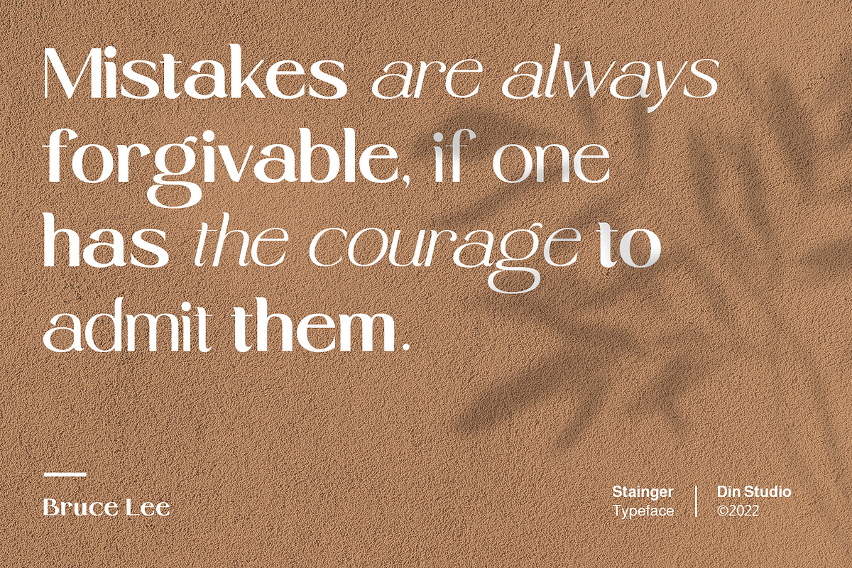 Stainger, a Sans Serif Font by din-studio.com (Photo 2 of 11)