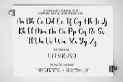 Skylight, a Handwritten Font by FreshTypeINK (Thumbnail 3 of 8)