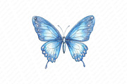 Glitter Butterfly Sublimation Clipar, an Illustration by Watercolor design (Thumbnail 13 of 13)