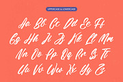 Samorthy Handwritten Brush Font, a Script Font by stylishtype.co (Thumbnail 8 of 10)