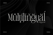 Serion Family, a Serif Font by Prestige Artsy Studio (Thumbnail 9 of 10)