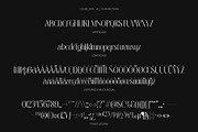 CS Belova – Elegant Serif Font, a Serif Font by Craft Supply Co. (Thumbnail 8 of 8)