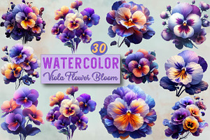 Viola Flower Bloom Sublimation Clipa, an Illustration by SVGArt