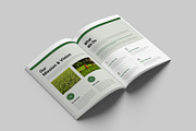 Agriculture Brochure Template, a Brochure Template by Cleffon_Graphic_Studio (Thumbnail 3 of 9)