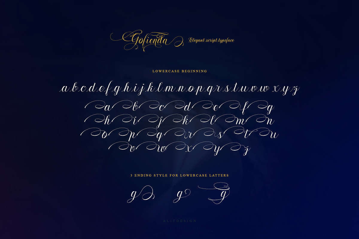 Gofienda, a Script Font by alit design (Photo 9 of 17)