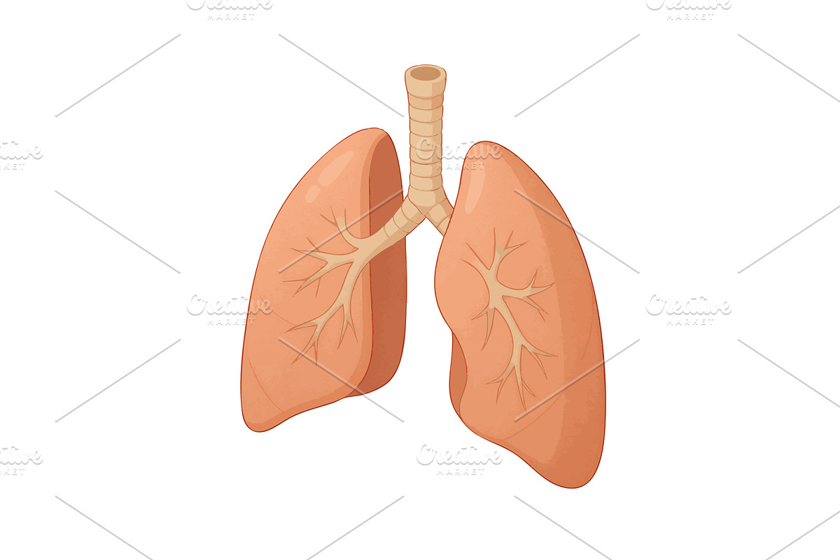 Isometric illustration of human, a Healthcare Illustration by AlexArt