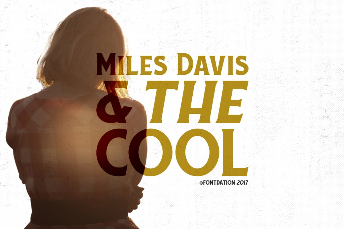Vintage Font Bundle | 49 Fonts in 1, a Sans Serif Font by Twicolabs Fontdation (Photo 8 of 17)