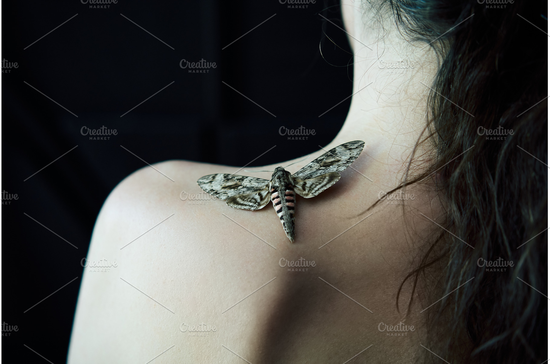 Butterfly sitting on woman shoulder, a Beauty & Fashion Photo by Gladkov photography