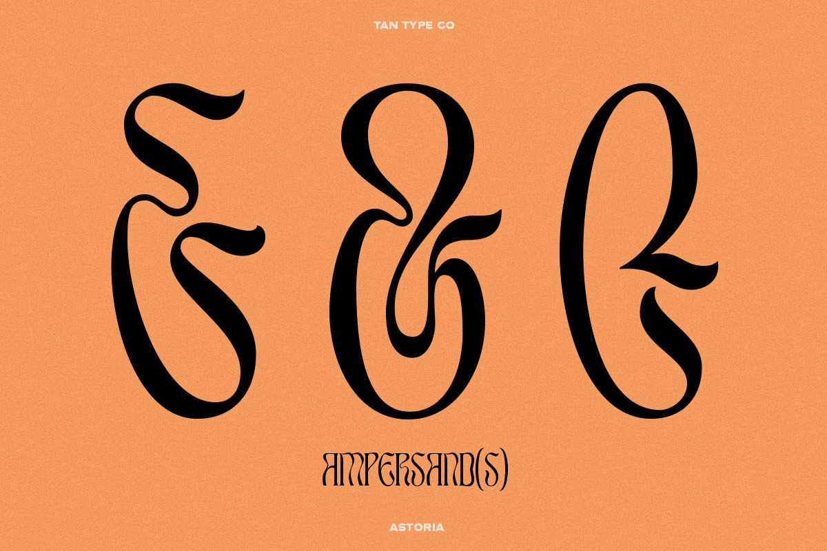 TAN - ASTORIA, a Serif Font by TanType (Photo 17 of 21)