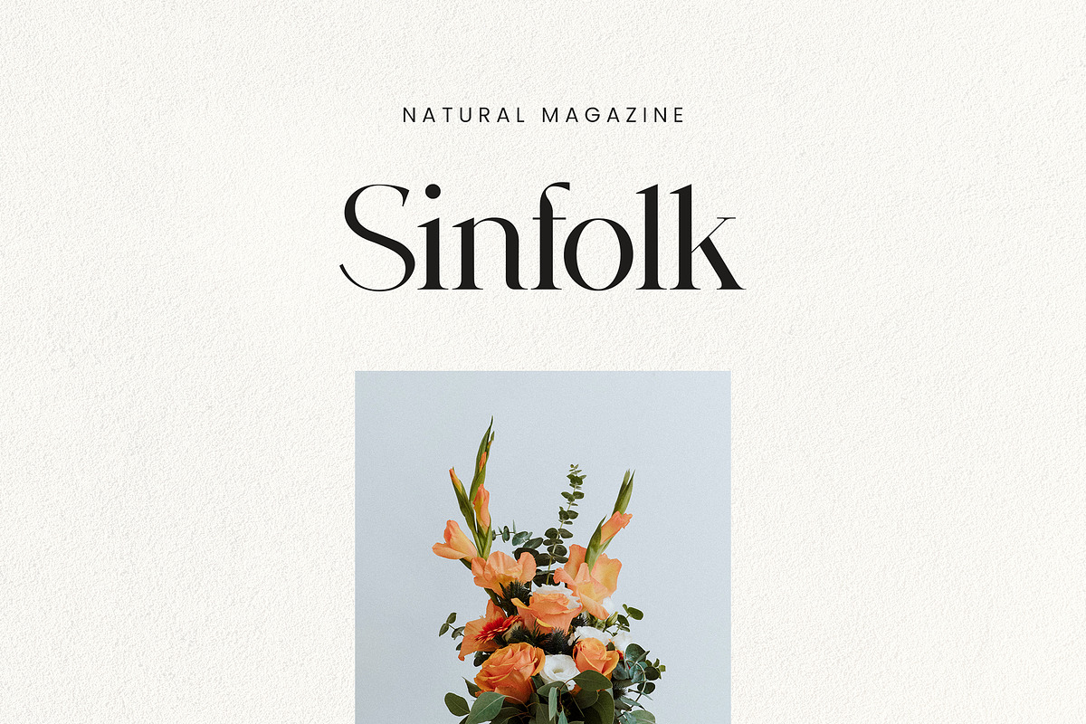 Agathias Stenchy Modern Serif Font, a Serif Font by UICreative (Photo 5 of 9)
